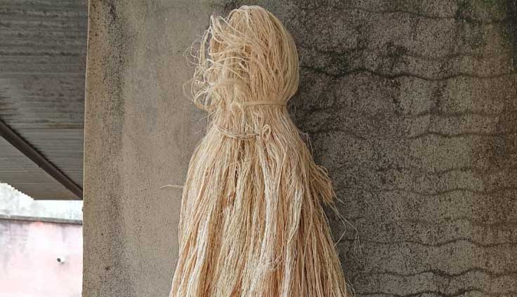 banana-fibers-raw